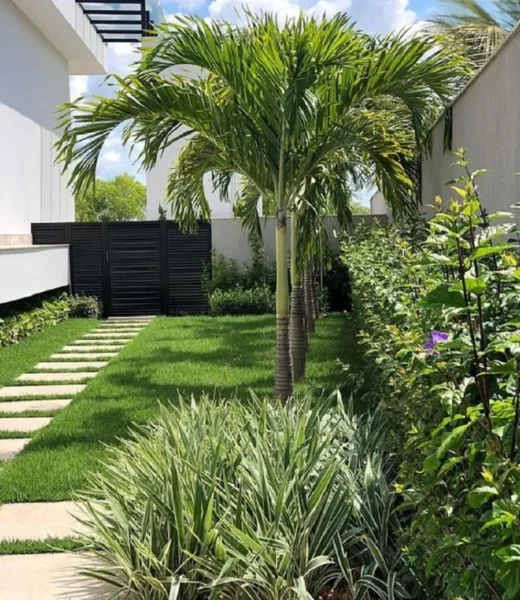 ide taman depan rumah - tropis minimalis 2