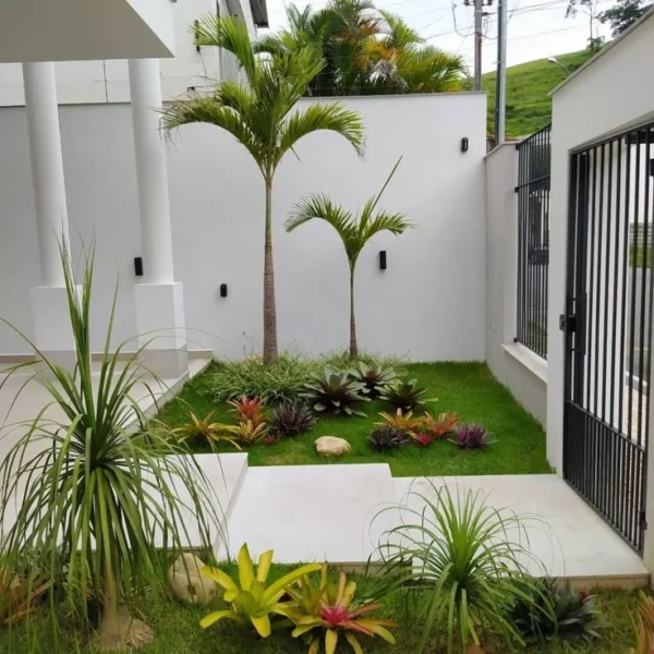 ide taman depan rumah - tropis minimalis