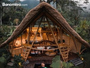 konsep rumah tropis bamboo house